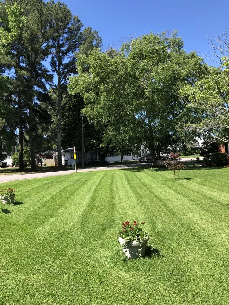Local yard cleanup service in Chesapeake, VA by Nicholson Lawn And Landscaping