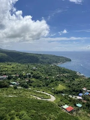 Nicholson Lawn Service Logo