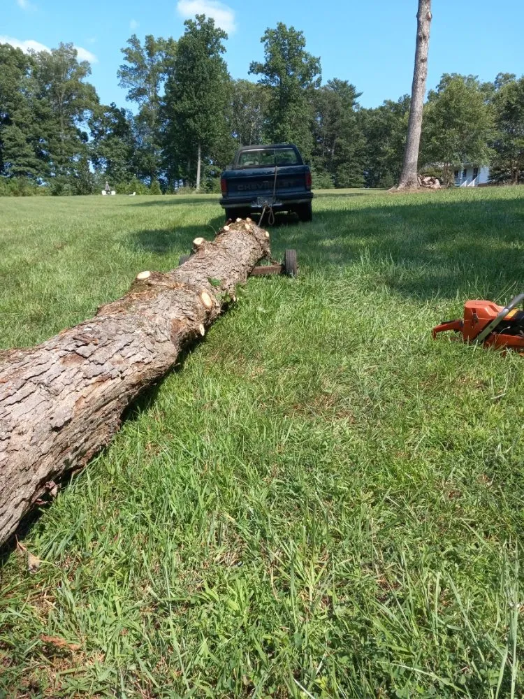 Custom outdoor landscaping experts serving Charlottesville, VA - Nicholsons Lawn Service