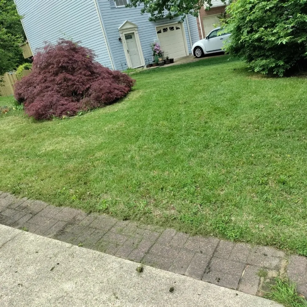Affordable yard maintenance for residential properties in Halethorpe, MD by Nick & Sons