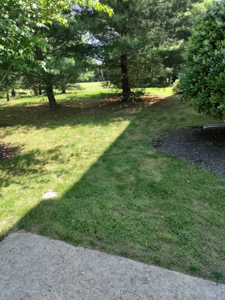 Reliable lawn mowing service experts serving Halethorpe, MD - Nick & Sons