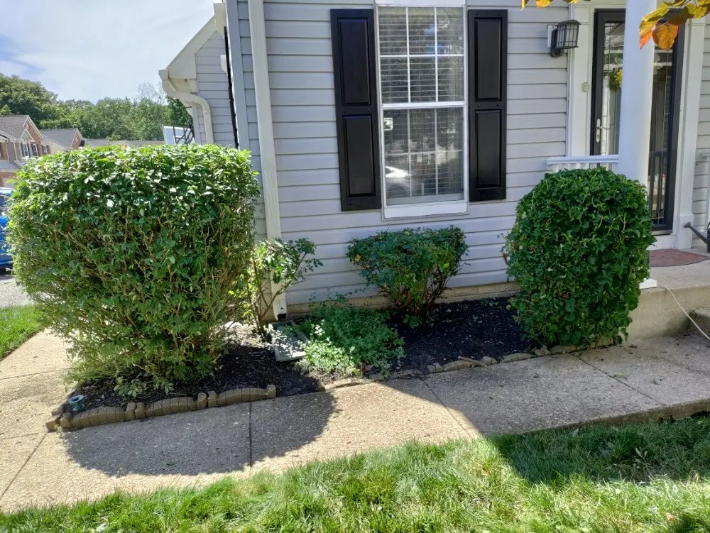 Affordable garden landscaping in Halethorpe, MD - Nick & Sons