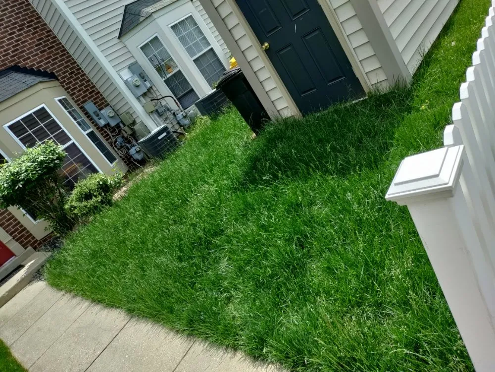 Trusted landscaping services for outdoor upgrades in Halethorpe, MD by Nick & Sons