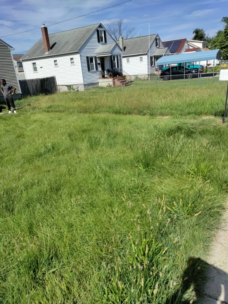 Expert landscape design for year-round maintenance in Halethorpe, MD by Nick & Sons