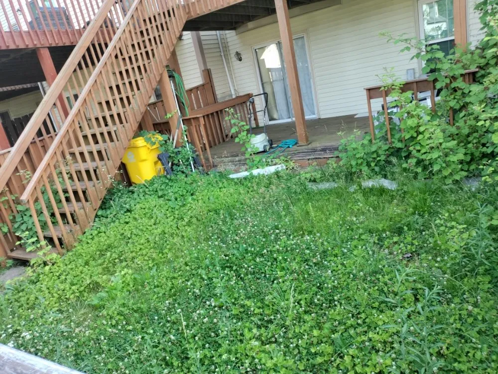 Custom landscape installation for beautiful yards across Halethorpe, MD - Nick & Sons