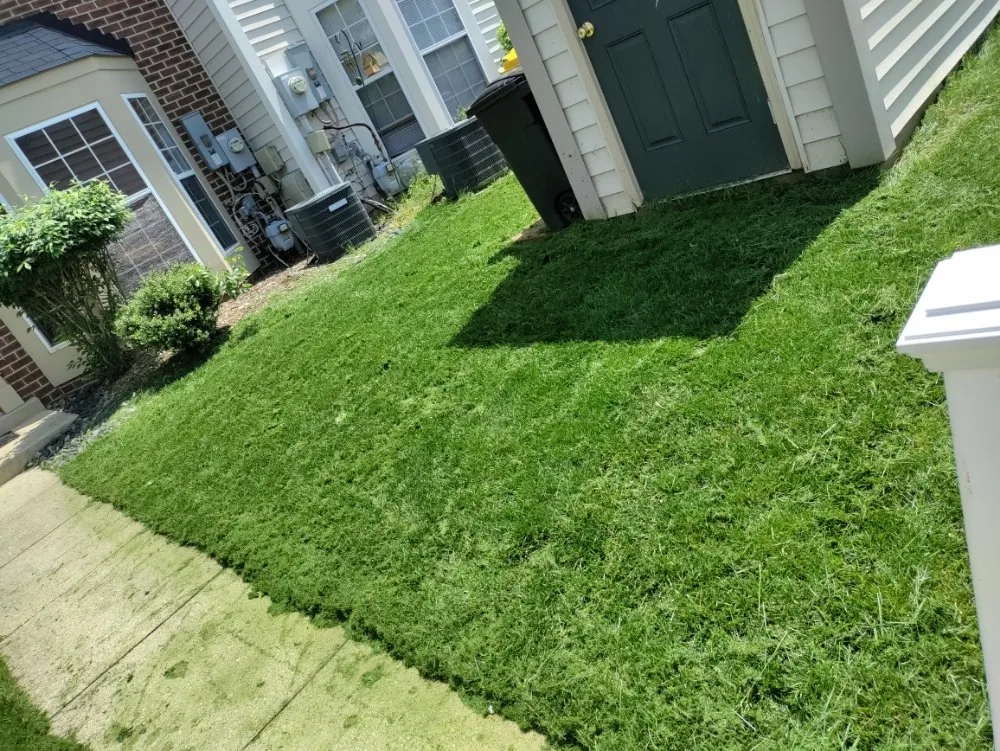 Top-rated lawn mowing service near you in Halethorpe, MD by Nick & Sons