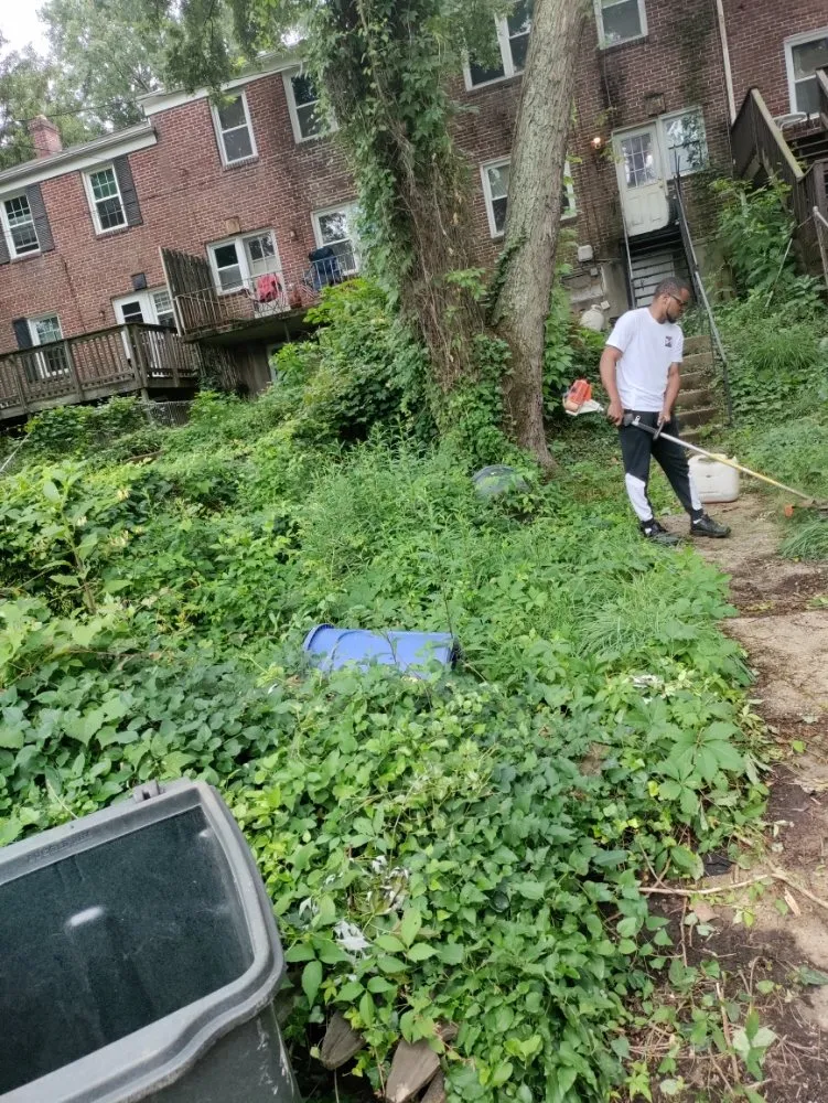 Local lawn mowing service in Halethorpe, MD by Nick & Sons