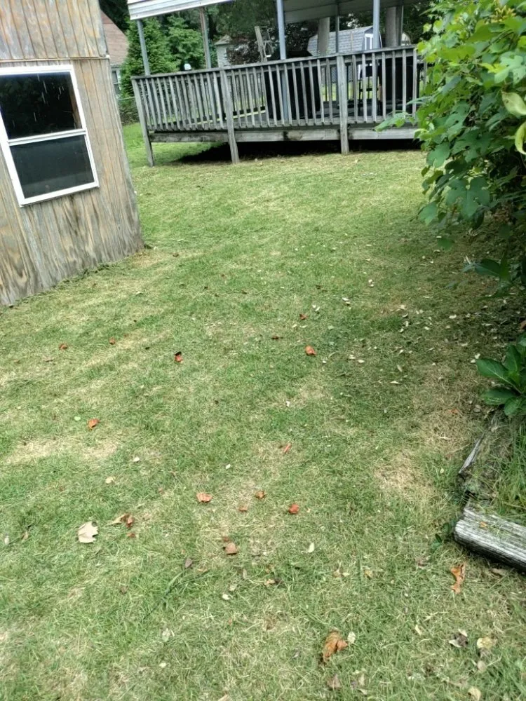 Professional landscape design in Halethorpe, MD - Nick & Sons