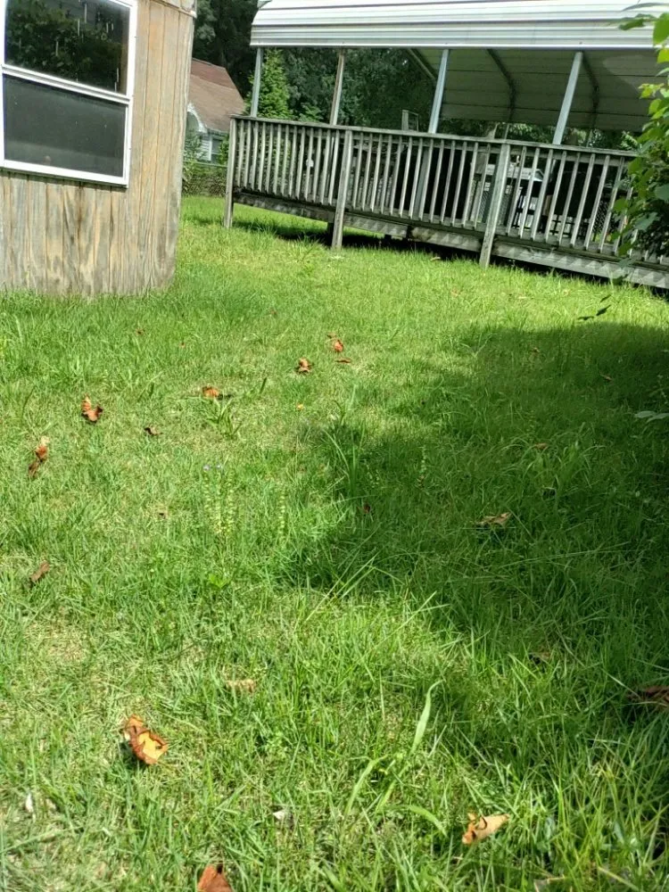 Top-rated landscape installation experts serving Halethorpe, MD - Nick & Sons
