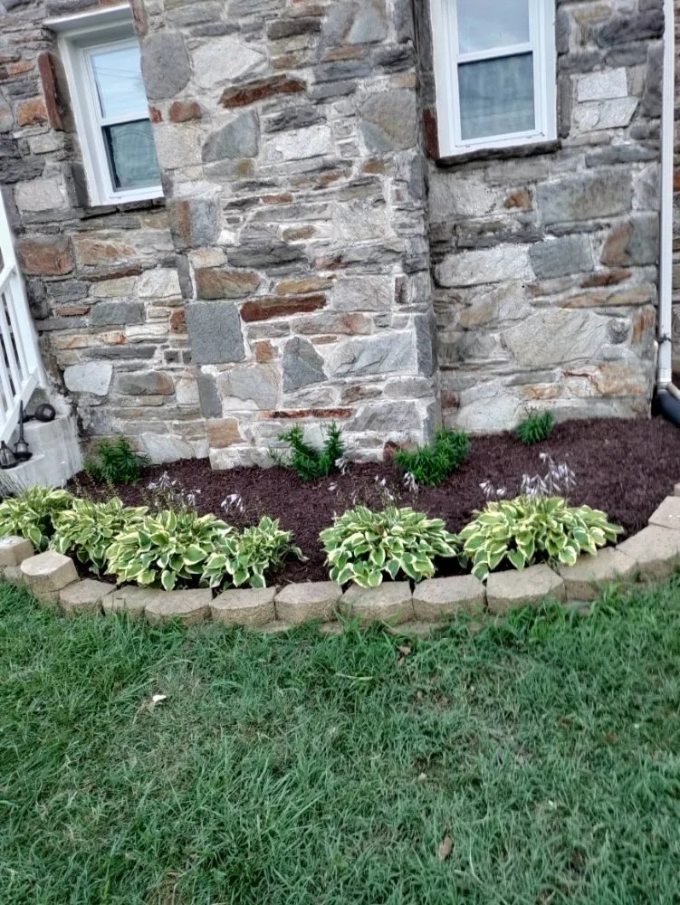Top-rated yard cleanup service in Halethorpe, MD by Nick & Sons