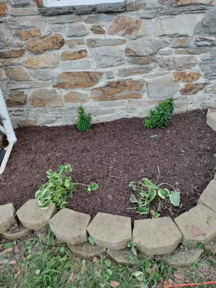 Local landscape design in Halethorpe, MD - Nick & Sons