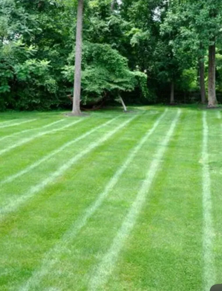 Custom lawn mowing service near you in De Soto, MO by Nick & Zach Landscape