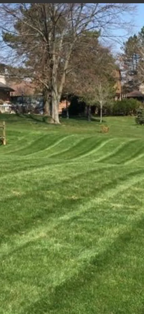 Trusted yard cleanup service for beautiful yards across De Soto, MO - Nick & Zach Landscape