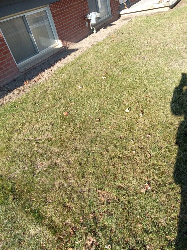 Affordable landscape design in Flint, MI by Nick and Rae Ann's Lawn Care and Specialties