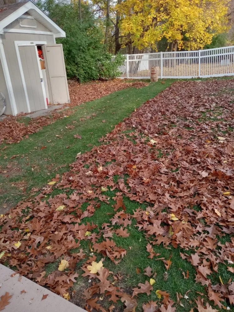 Professional yard cleanup service in Flint, MI - Nick and Rae Ann's Lawn Care and Specialties