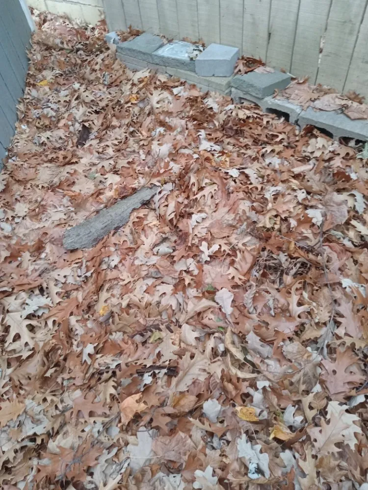 Professional lawn care service with custom design in Flint, MI by Nick and Rae Ann's Lawn Care and Specialties