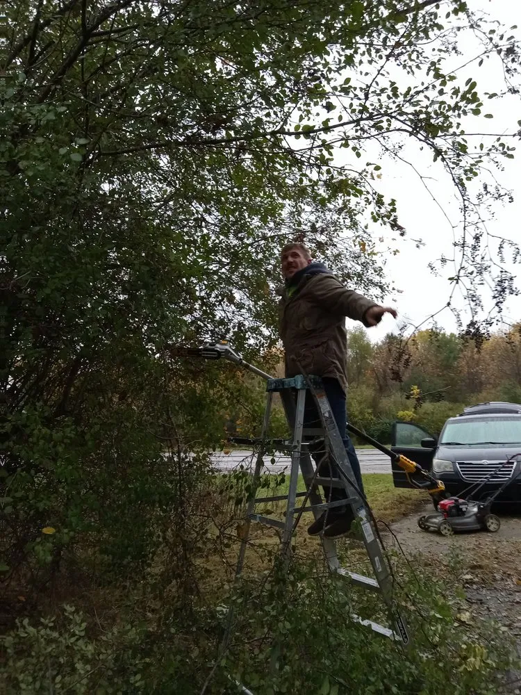 Trusted yard cleanup service experts serving Flint, MI - Nick and Rae Ann's Lawn Care and Specialties