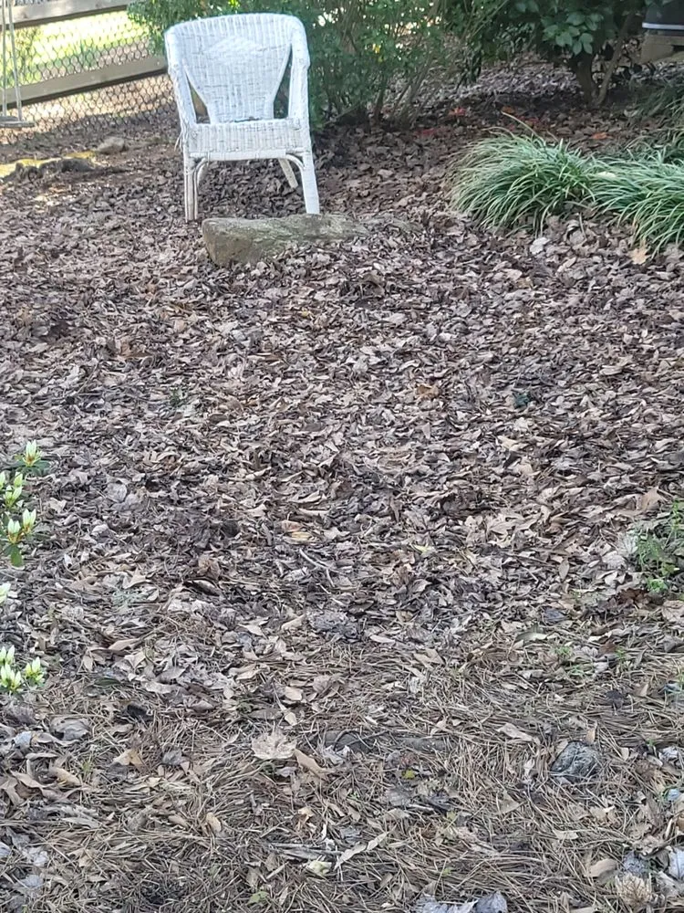 Trusted outdoor landscaping experts serving Spartanburg, SC - Nick And Son Lawn Care Landscaping