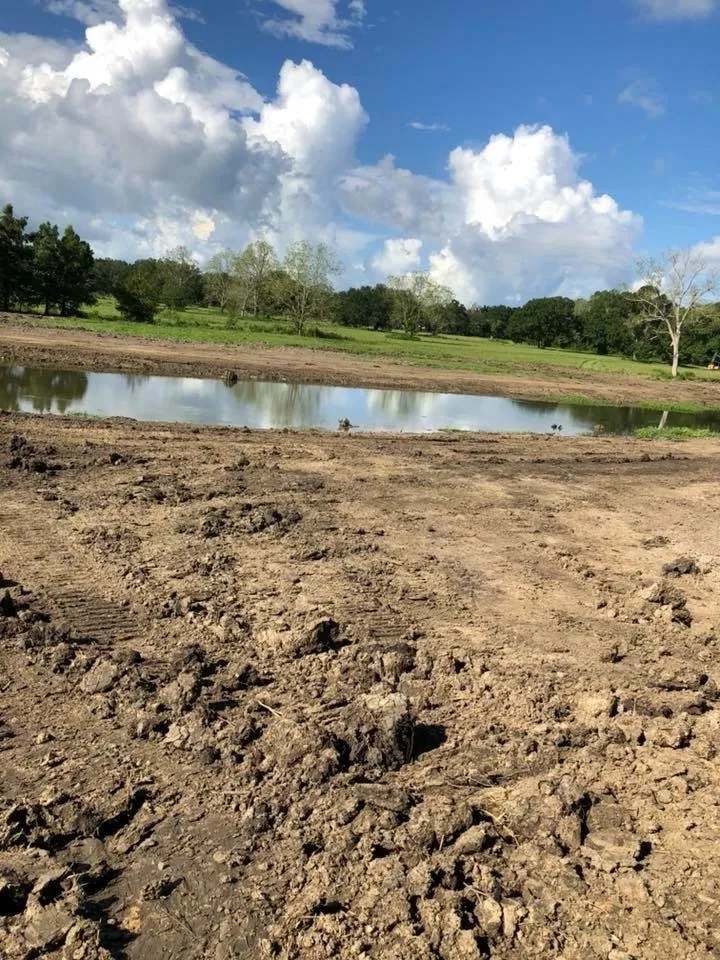 Custom lawn care service in Schriever, LA by Nick and sons