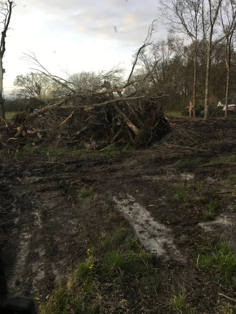 Custom yard cleanup service for year-round maintenance in Schriever, LA by Nick and sons