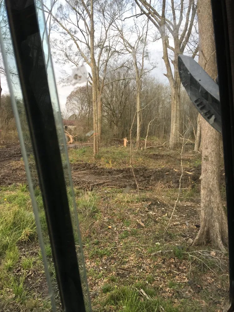 Top-rated residential landscaping in Schriever, LA - Nick and sons