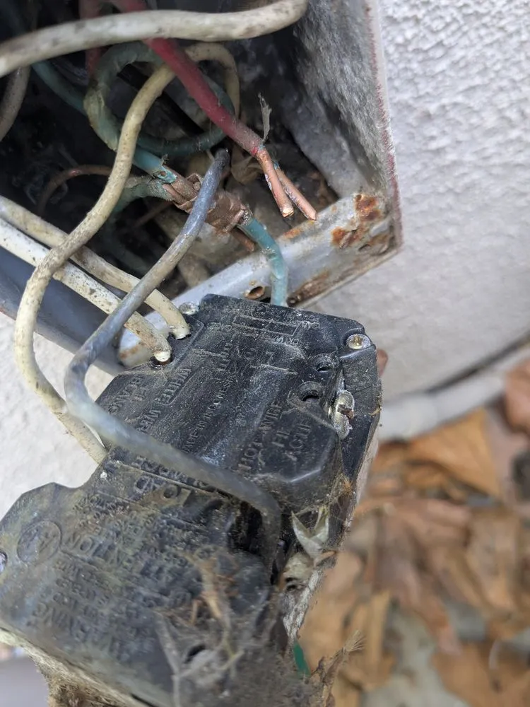 Top-rated yard cleanup service in Los Angeles, CA - Nick House Gardening