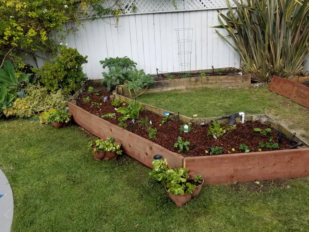 Reliable residential landscaping experts serving Los Angeles, CA - Nick House Gardening