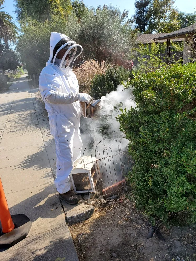 Trusted garden landscaping for residential properties across Los Angeles, CA - Nick House Gardening