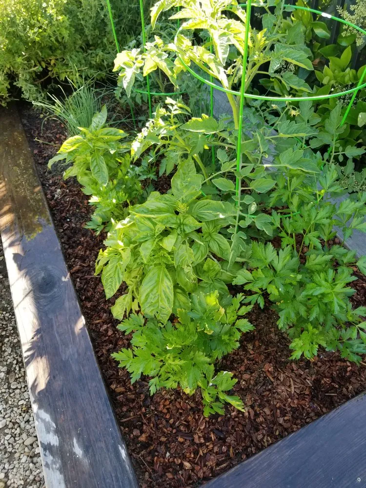 Trusted residential landscaping experts serving Los Angeles, CA - Nick House Gardening