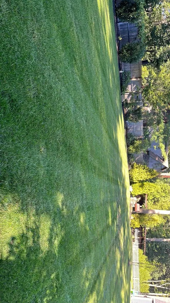 Affordable residential landscaping with custom design in Mastic Beach, NY by Nick Landscaping Services