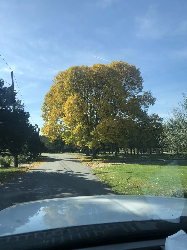 Trusted lawn mowing service in Mastic Beach, NY by Nick Landscaping Services