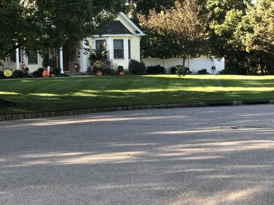 Nick Landscaping Services Logo