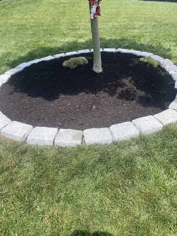 Local yard cleanup service experts serving Wilmington, DE - Nick Landscaping Services