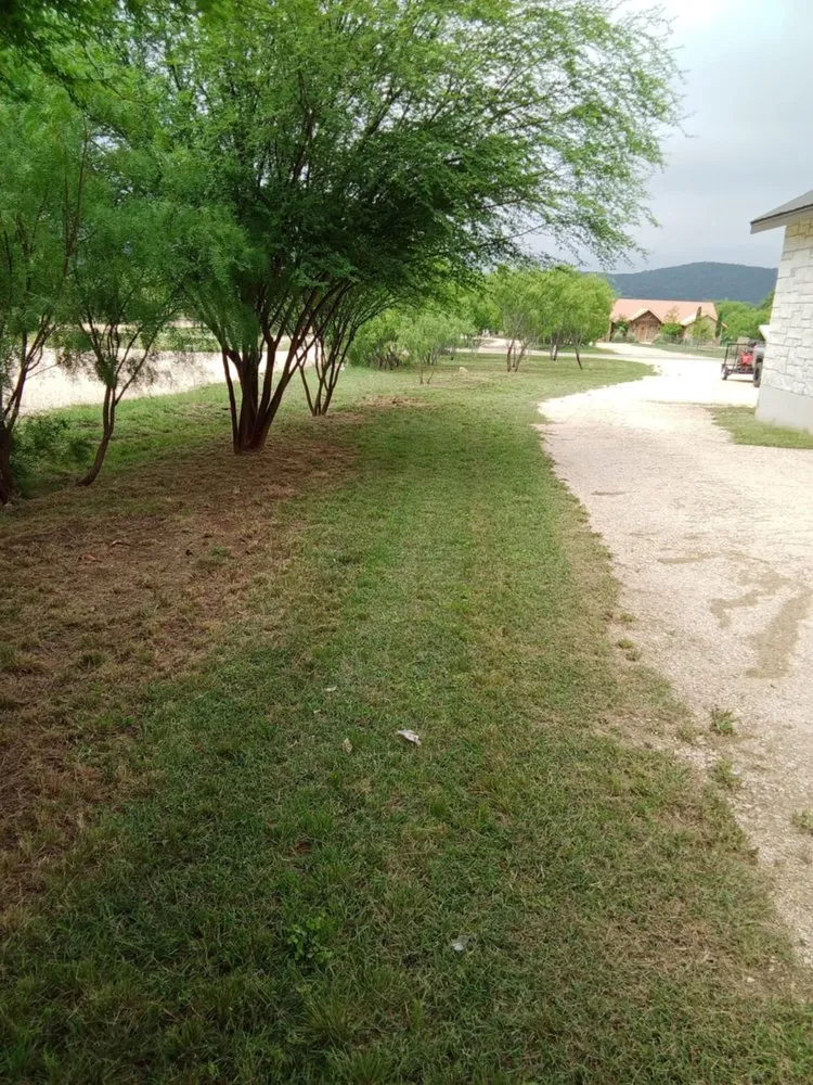 Professional landscape design near you in Batesville, TX by Nick Lawn Care