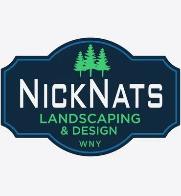 Nick Nats Logo