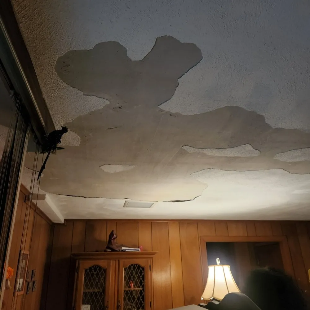 Affordable yard cleanup service for homes across Key Largo, FL - Nick The Fix It Handyman