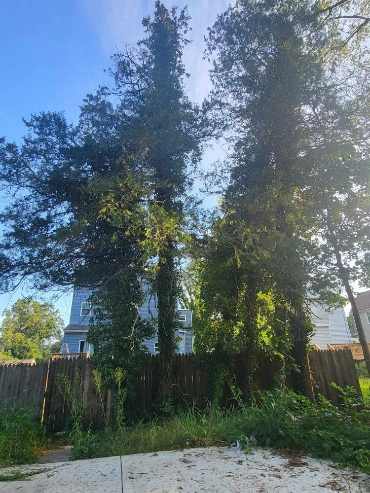 Custom lawn mowing service in Milford Mill, MD - Nick Tree Service & Landscaping