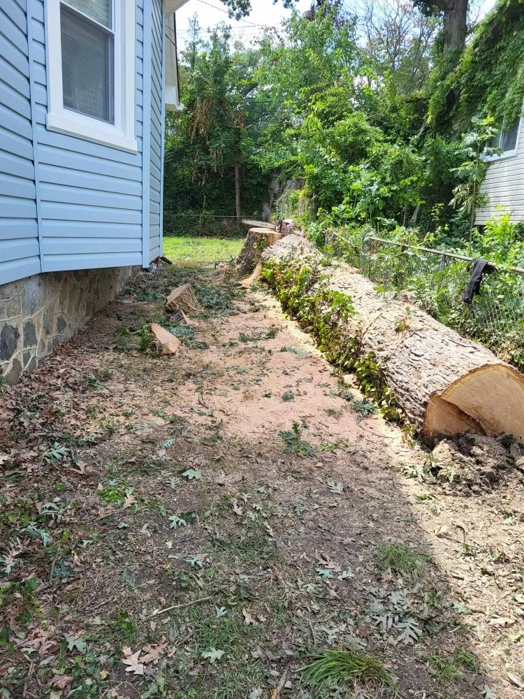 Professional garden landscaping for year-round maintenance in Milford Mill, MD by Nick Tree Service & Landscaping