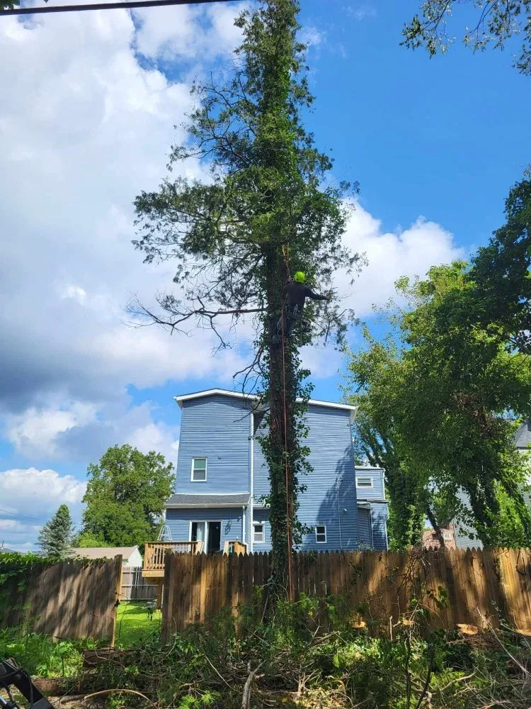 Custom lawn care service in Milford Mill, MD by Nick Tree Service & Landscaping