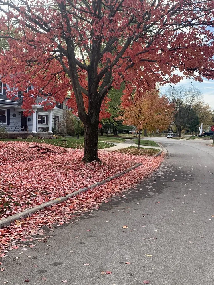 Expert yard maintenance in Marion, IN - Nick Yeakle
