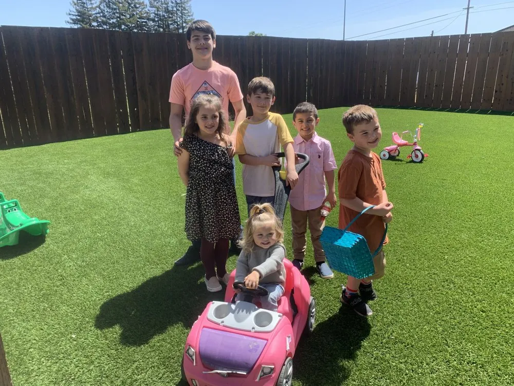 Top-rated yard cleanup service in Ukiah, CA by Nickel Creek Landscape & Design