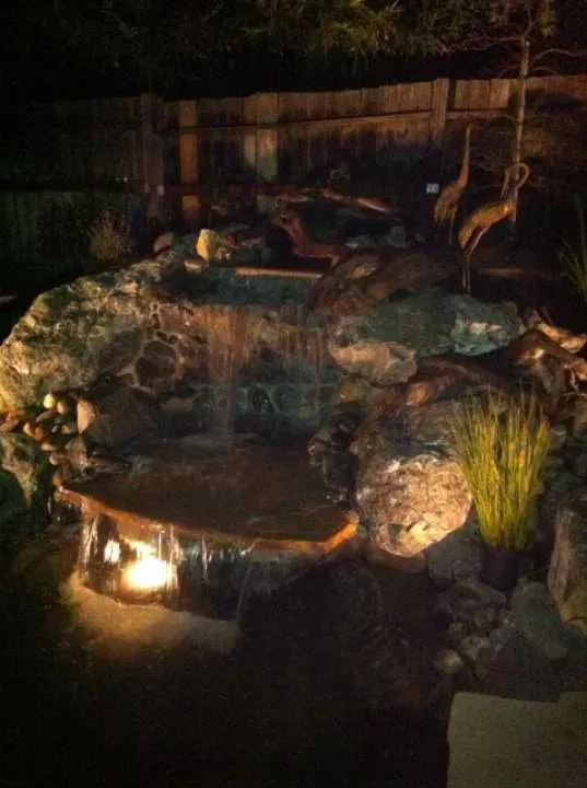 Expert yard cleanup service with custom design in Ukiah, CA by Nickel Creek Landscape & Design