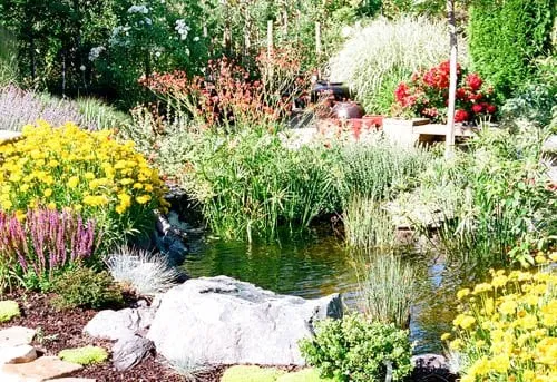 Local lawn care service for homes in Ukiah, CA by Nickel Creek Landscape & Design