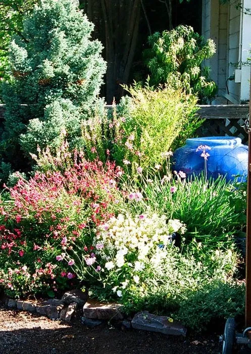 Local landscape design for beautiful yards in Ukiah, CA by Nickel Creek Landscape & Design
