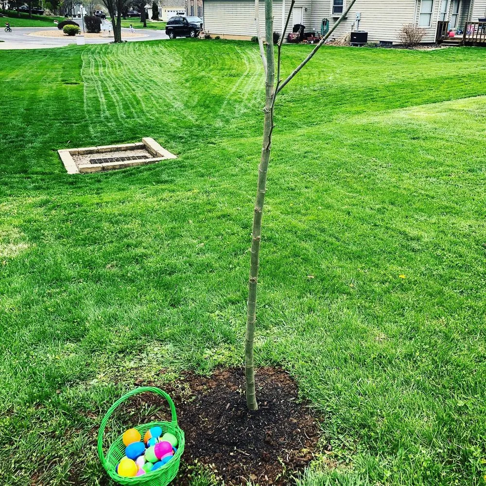 Local yard cleanup service in Sedalia, MO - Nickels Lawn Care