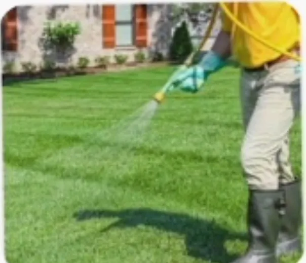 Expert yard cleanup service in Columbia, SC by Nickle’s Lawn-Care