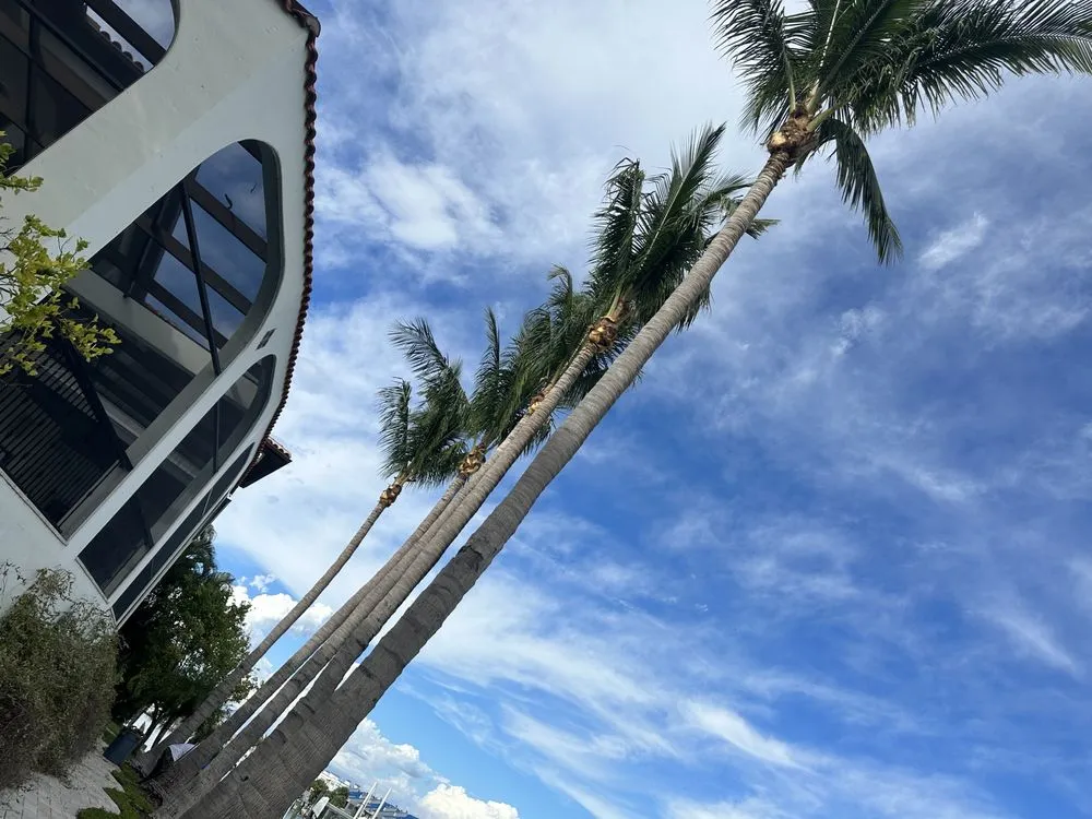 Professional residential landscaping in St. Petersburg, FL by Nicko Tree service And Landscaping