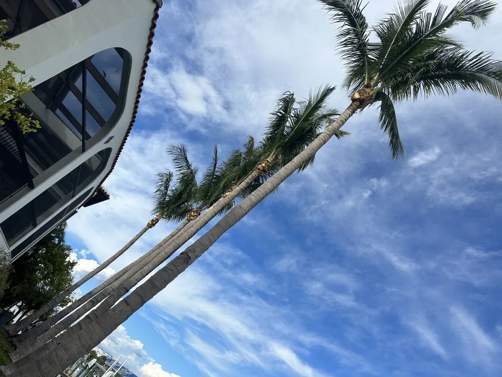 Expert outdoor landscaping experts serving St. Petersburg, FL - Nicko Tree service And Landscaping