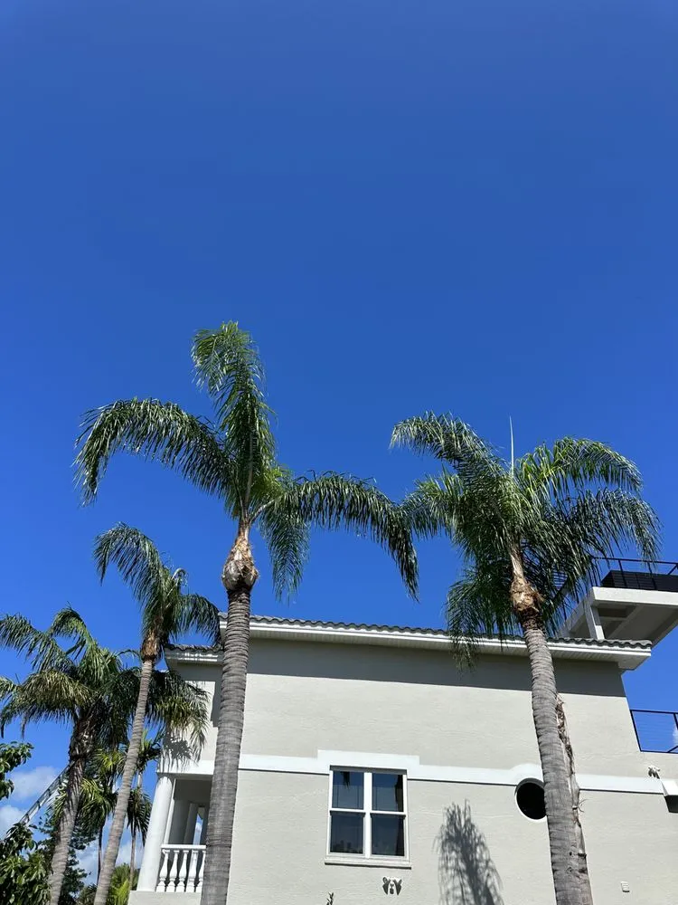 Trusted outdoor landscaping in St. Petersburg, FL by Nicko Tree service And Landscaping