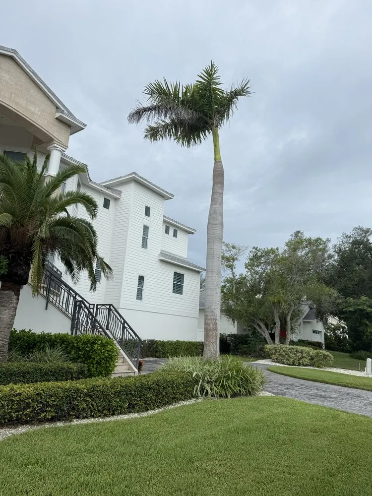 Expert landscape installation near you in St. Petersburg, FL by Nicko Tree service And Landscaping